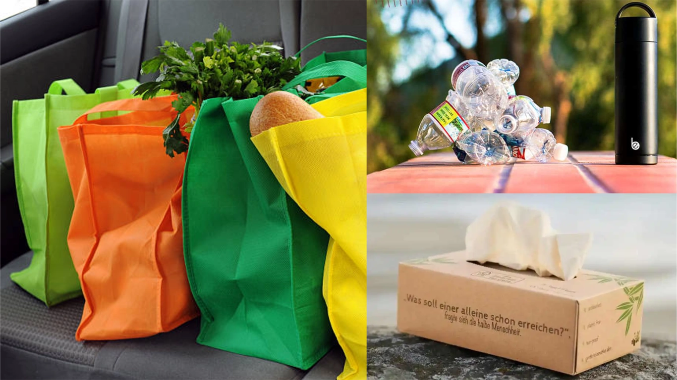 12 Sustainable Habits for Your Daily Life