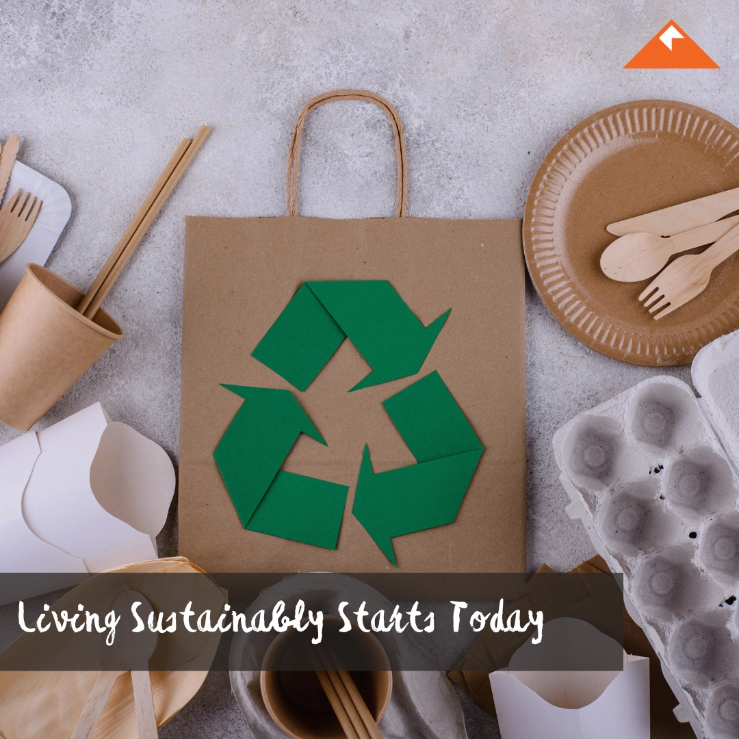 12 Sustainable Habits for Your Daily Life