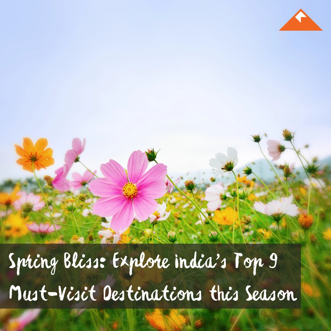 Spring Bliss: Explore India's Top 9  Must-Visit Destinations this Season