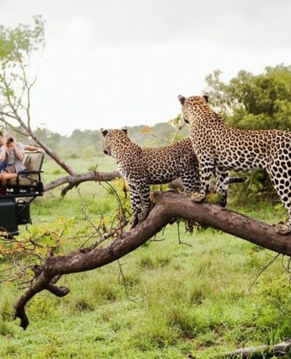 Yala National Park