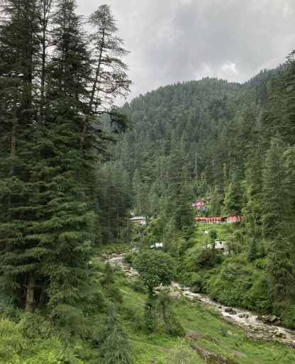 Jibhi