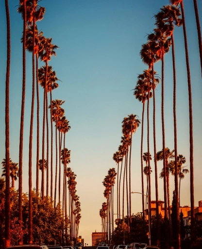 Los Angeles
